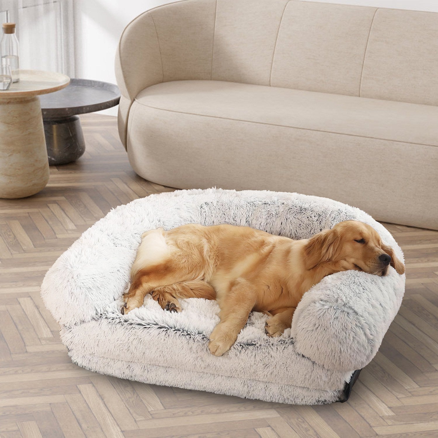 Foldable Human Size Dog Bed With Pillow and Blanket