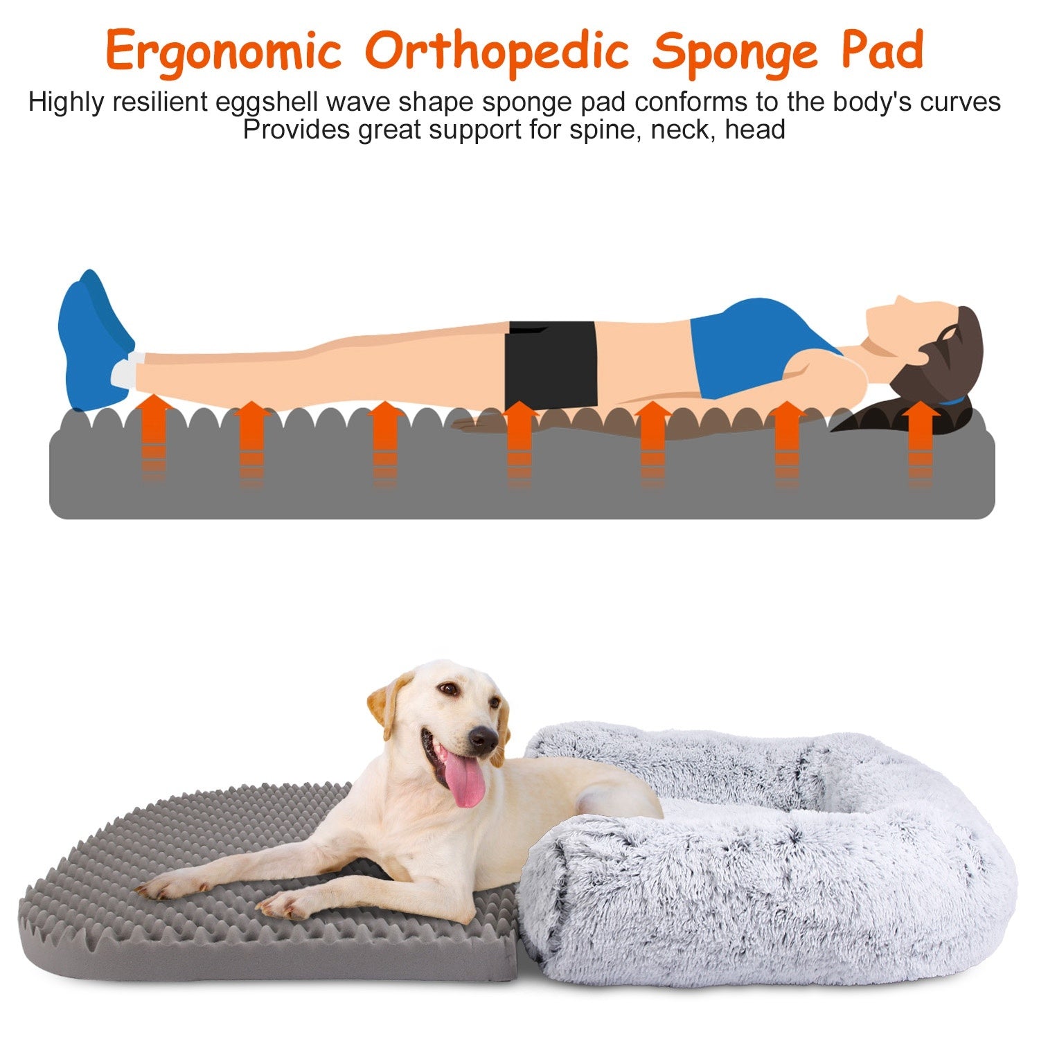 Foldable Human Size Dog Bed With Pillow and Blanket